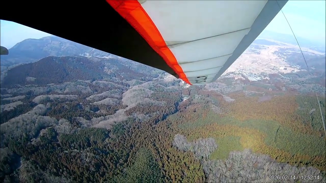 20260214 パープル