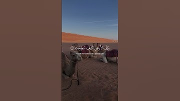 ﴿ أفلَا ينظُرون إلى الإبلِ كيف خُلقت ﴾ سوره الغاشيه، عبدالرحمن مسعد #ارح_قلبك #قرآن