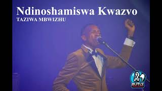 Ndinoshamiswa kwazvo - Taziwa Mbwizhu