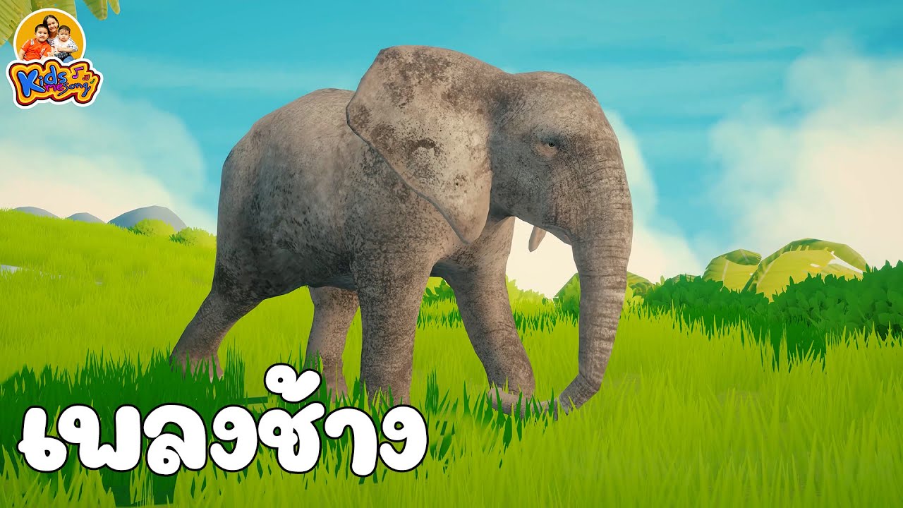 ⁣เพลงช้าง เวอร์ชั่น 2564  - เพลงเด็กพี่นุ่น น้องภูมิ By KidsMeSong