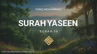 Full Surah Yaseen Recitation (Surah 36) | English Translation | Daily Spiritual Healing
