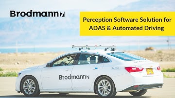 Brodmann17