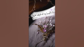 #عبدالرحمن_مسعد #تلاوة_خاشعة #ارح_قلبك #لايك #اكسبلور #راحة_نفسية #quran #حالات_واتس