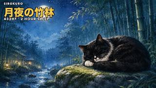 432Hz Sleep Music 2hr 🌙🎋 白黒猫と初夏の月夜の竹林 | Deep Sleep
