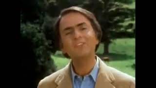 Evolution is a fact - Carl Sagan