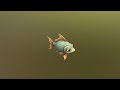 Low Poly Stylized Emerald Scaled Fish   PBR