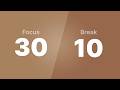 30/10 Study With Me Brown Noise Timer | 4 Hours of Structured Productivity