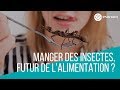 Manger des insectes futur de lalimentation   esanum