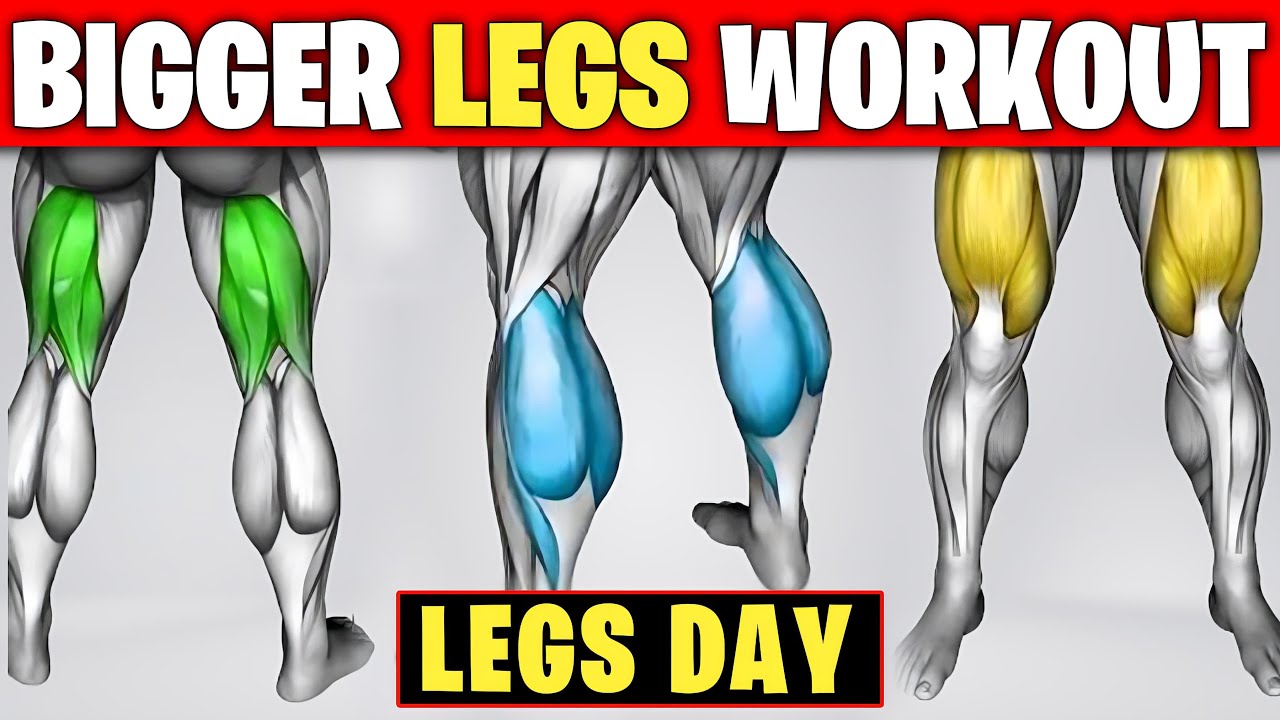 How to get bigger legs fast Best exercises for legs YouTube