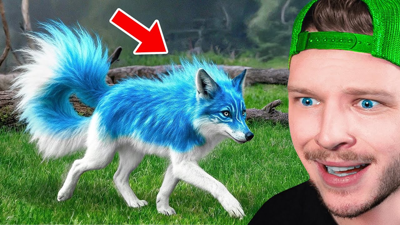 Ces Animaux Rares Existent VRAIMENT !