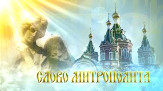 Слово митрополита. Выпуск от 3 июня 2023 г.