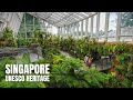 Singapore City: Singapore Botanic Gardens Weekend Walk (8K HDR)