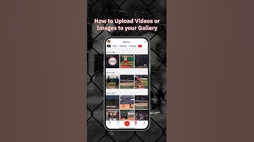 How to Upload Videos or Images to your Gallery from Within the SeamsUp App