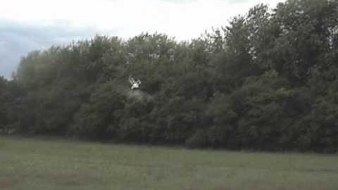 Trex 450 RC Helicopter inverted almost cut a weed