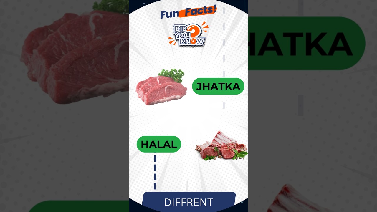 7️⃣ Halal vs Jhatka Meat – Which One Do You Eat? 