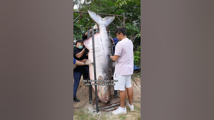 Cooking The World’s Largest Fish