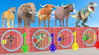 Cow Elephant Gorilla Buffalo Tiger Guess The Right Key ESCAPE ROOM CHALLENGE Animal Cage Game