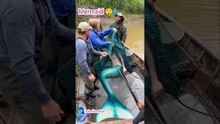 Mermaid Caught In Fishermens Nets