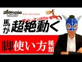 乗馬で脚が使えない人が知らない脚の種類4選～大切なコツも解説～