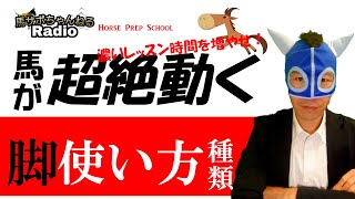 乗馬で脚が使えない人が知らない脚の種類4選～大切なコツも解説～