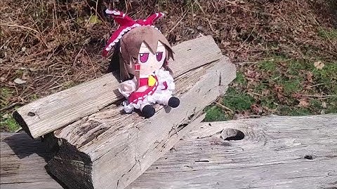 Fumo gets shot by a shotgun shell