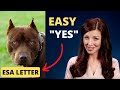 How To Easily Get Approved! (Breed Restricted Dog) - Rental Clients!