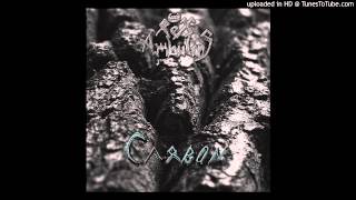 Rex Ambulans - Carbon