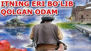 ITNING ERI BO'LGAN ODAM