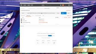 Infor Mongoose: Developer Demo - API Calls