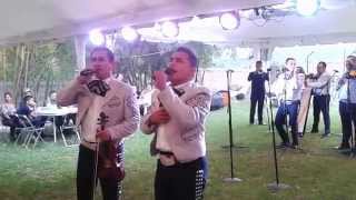 Las Edades-Mariachi Nuevo Tamazula