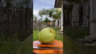 Skills that others don't have😂🥥 #coconut #asmr