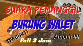 SUARA PANGGIL BURUNG WALET FULL 3 JAM#walet#suaraburungwalet