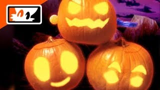 Information Carving Sonic Pumpkins! - Tails' Channel Live News