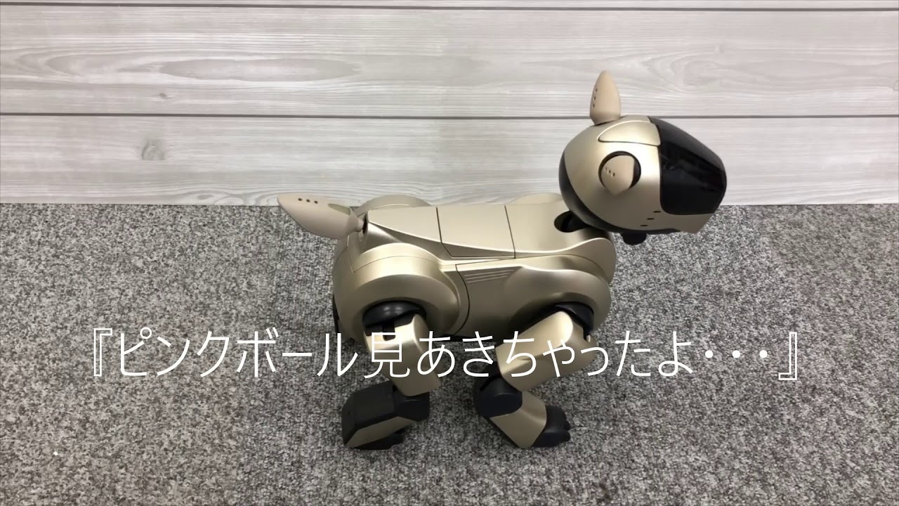 AIBO けんちゃんページ AIBOと一緒にお話ししよう！おりこうAIBOセット - YouTube