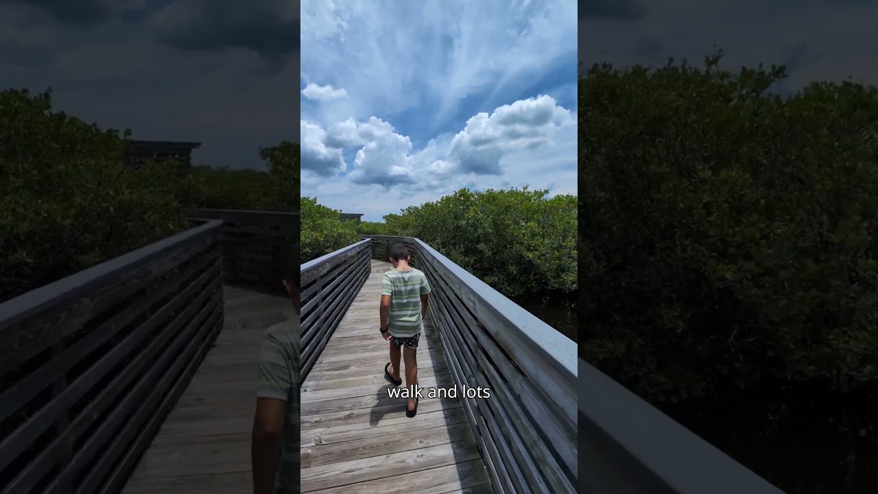 Exploring Canaveral National Seashore: not NASA but NATURE! 