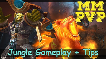 Mm Hunter Arena Tips | 2v2 Jungle Gameplay 9.1