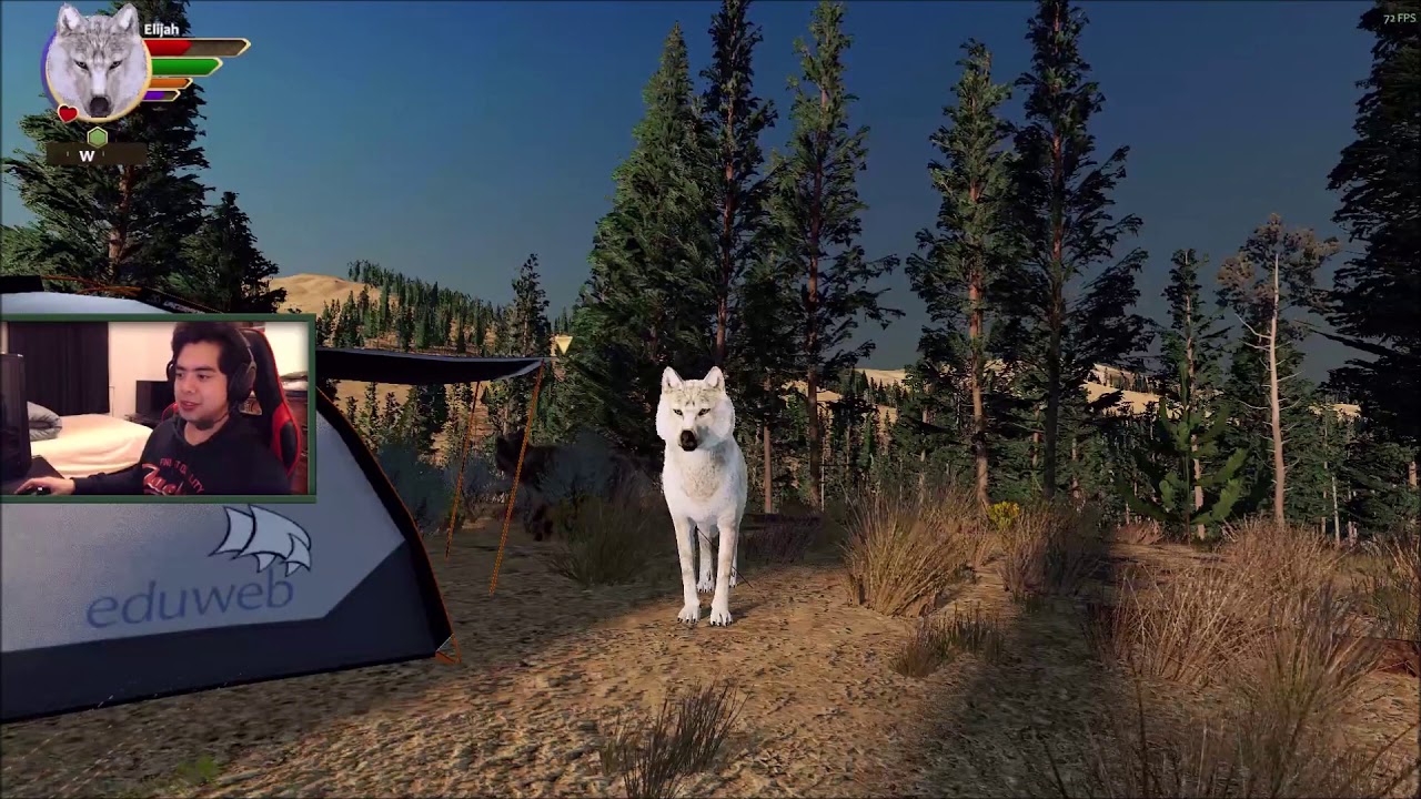 Wolf Quest 3 Tent And Twin Waterfalls Locations YouTube wolf-quest-3-tent-and-twin-waterfalls-locations-youtube