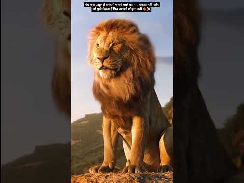 मेरा एक उसूल हैं रास्ते पे चलने वाले को माय छेड़ता नहीं #motivation #dialogue #shortsfeed🦅❤️‍🔥❤️‍🔥💥📈📈