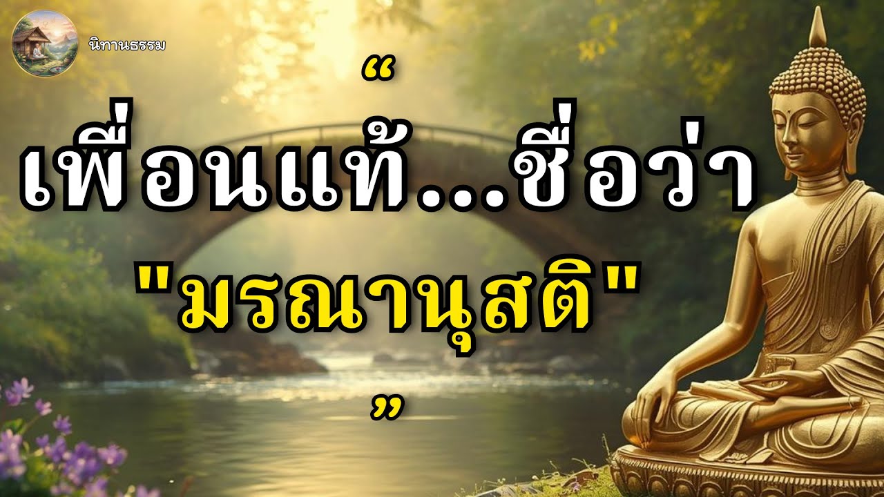 วิธีใช้ 
