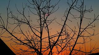 Natur - Dub Elements #dubtechno #atmospheric