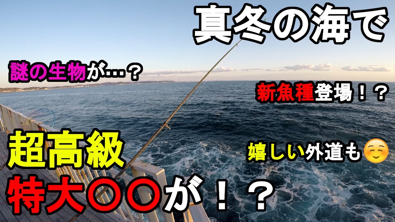 【神奈川県某所】真冬の海で超高級特大〇〇が！？厳寒期の2月上旬、視聴者さんから情報提供があった釣り場で、とあるターゲットを狙って数日間釣りしてみたら、嬉しい外道や奇跡が起きて…！【2023年2月上旬】
