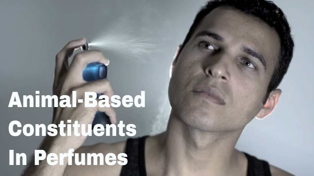 Animal Based Constituents In Perfumes