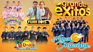 Download Lagu 🔴MIX CHELEANDO (Única Tropical, Armonia 10, Agua Marina, Papillon y más) MP3