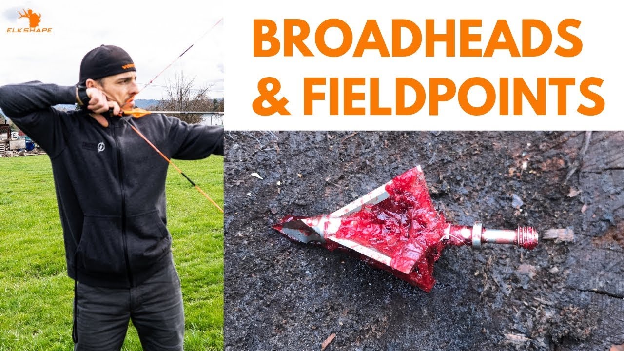 Checking Broadhead Tune YouTube