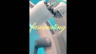 “Scientists Created an Artificial Womb… and It Worked