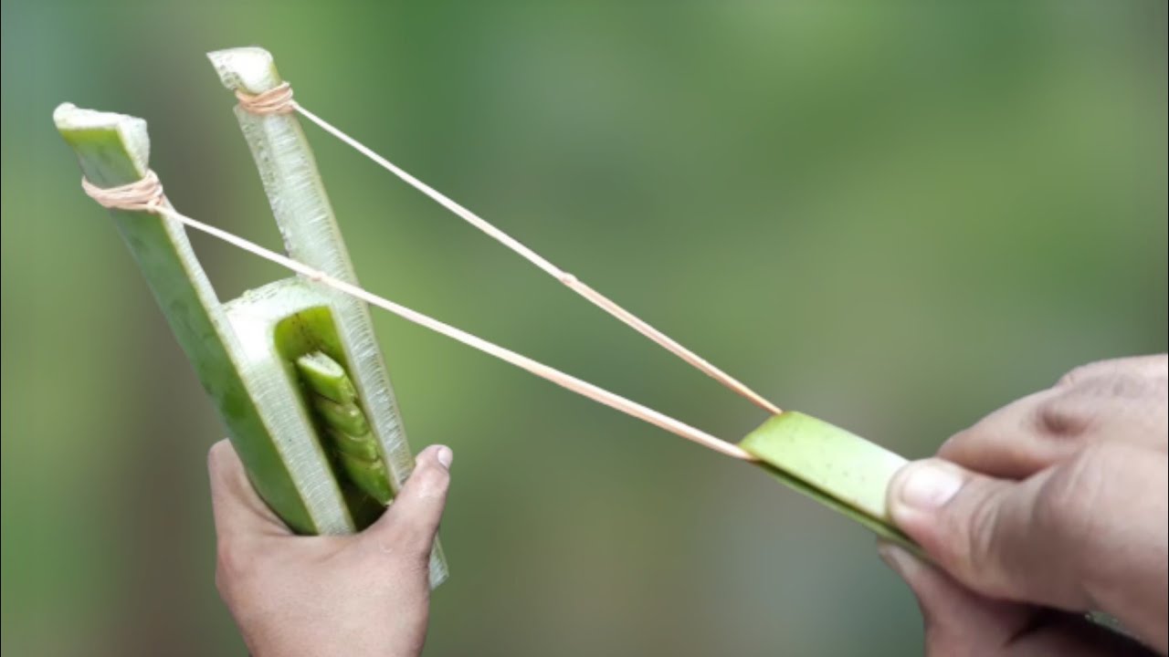  Cara  Membuat  Ketapel Dari  Pelepah  Daun Pisang  dan Karet 