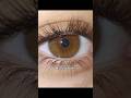 types of brown eyes #type #typesof #eyes #brown #browneyed #hazel #honey #amber #onyx #chestnut