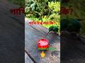 আল্লাহ জে কত মহান#subscribetomychannel #viral #shortvideo #tending