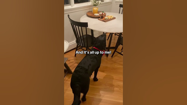 'Twas the night before Thanksgiving…
