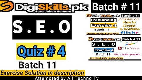 Digiskills SEO Quiz 4 Batch 11 | seo quiz 4 batch 11 | seo exercise 4 batch 11